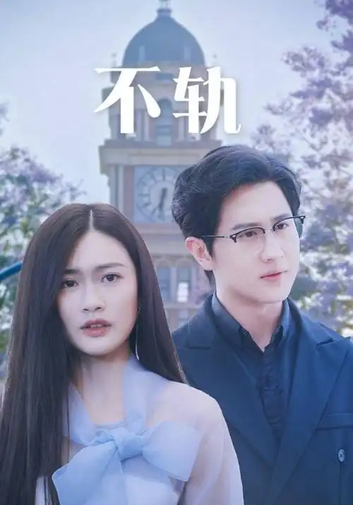 婆家的那道门槛短剧封面